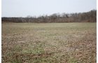Property photo 4 - ABSOLUTE AUCTION - 298 Acres Offered in 4 Tracts